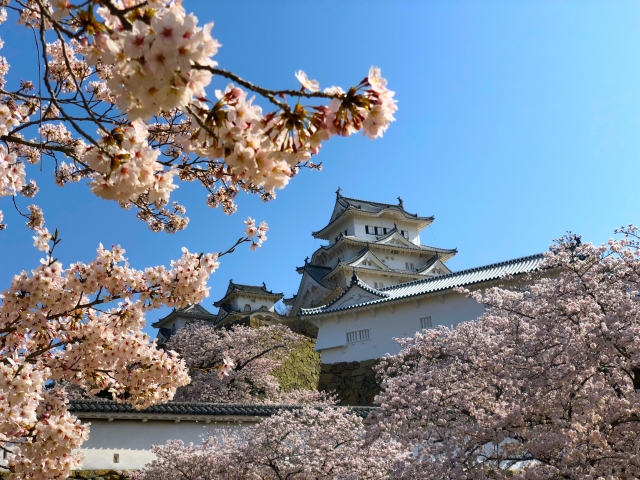 日本のお城とその歴史 殺陣教室 東京のスクール